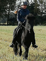 Bild von Julia Goebel beim Reiten