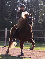 Bild von Julia Goebel beim Reiten
