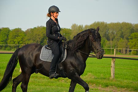Geführte Ausritte ins Gelände mit Julia Goebel in Telgte